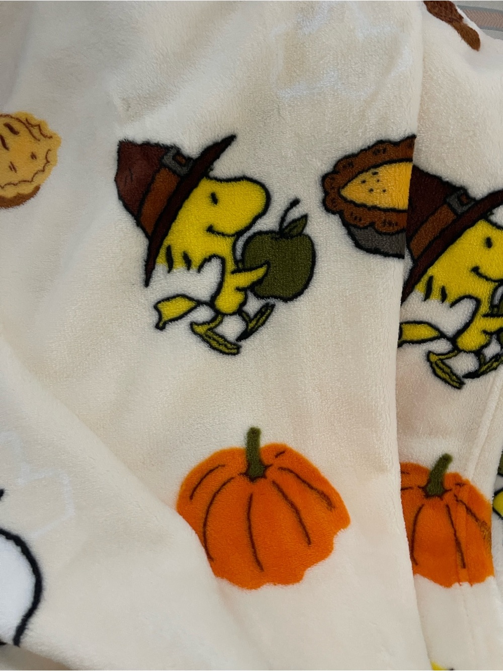 πPEANUTS OVERSIZED SNOOPY THANKSGIVING π¦ PLUSH FLEECE THROW BLANKET - Picture 3 of 6